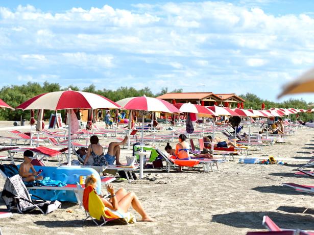 villaggiobarricata nl zomervakantie-aanbieding-in-5-sterren-vakantiepark-park-po-delta 018