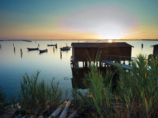 villaggiobarricata da tilbud-ferie-med-husdyr-i-ferielandsby-po-delta-park 017