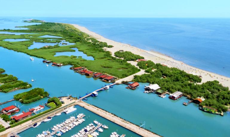 Aerial view of a beach with sea, greenery, and boats.