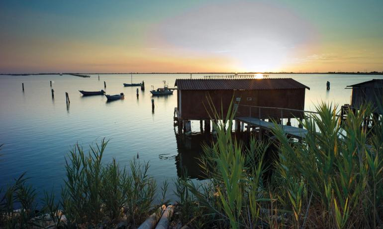 villaggiobarricata en offer-vacations-with-pets-in-village-in-po-delta-park 010