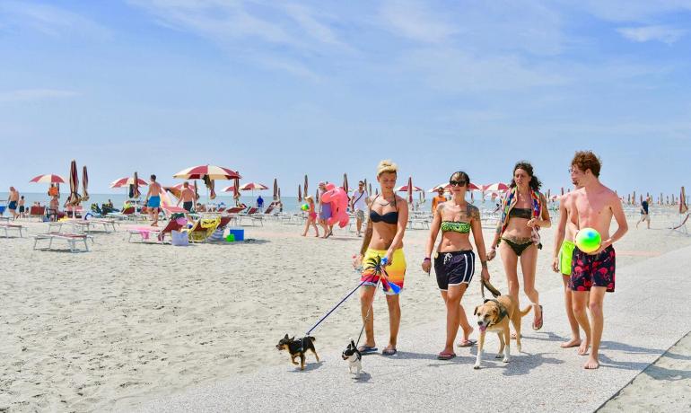 villaggiobarricata en offer-vacations-with-pets-in-village-in-po-delta-park 012