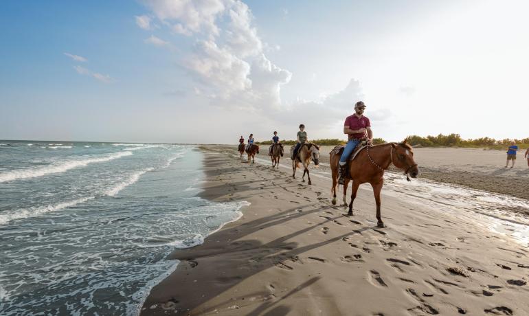 Folk rider på heste langs stranden ved solnedgang.