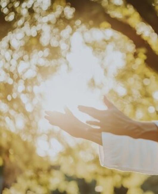 ZON, ZEE… QI GONG