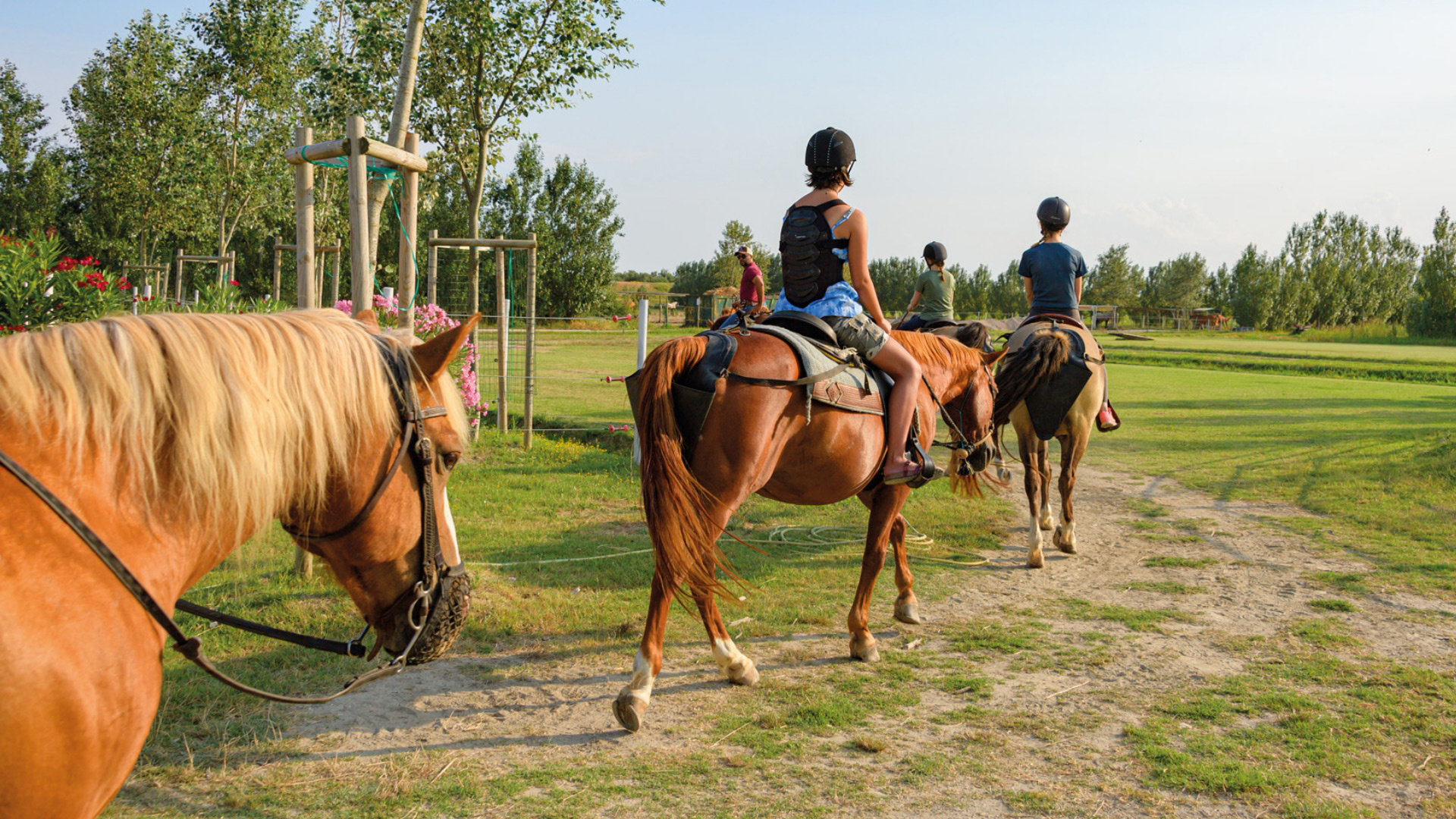 Persone a cavallo in un paesaggio verde, indossano caschi protettivi.