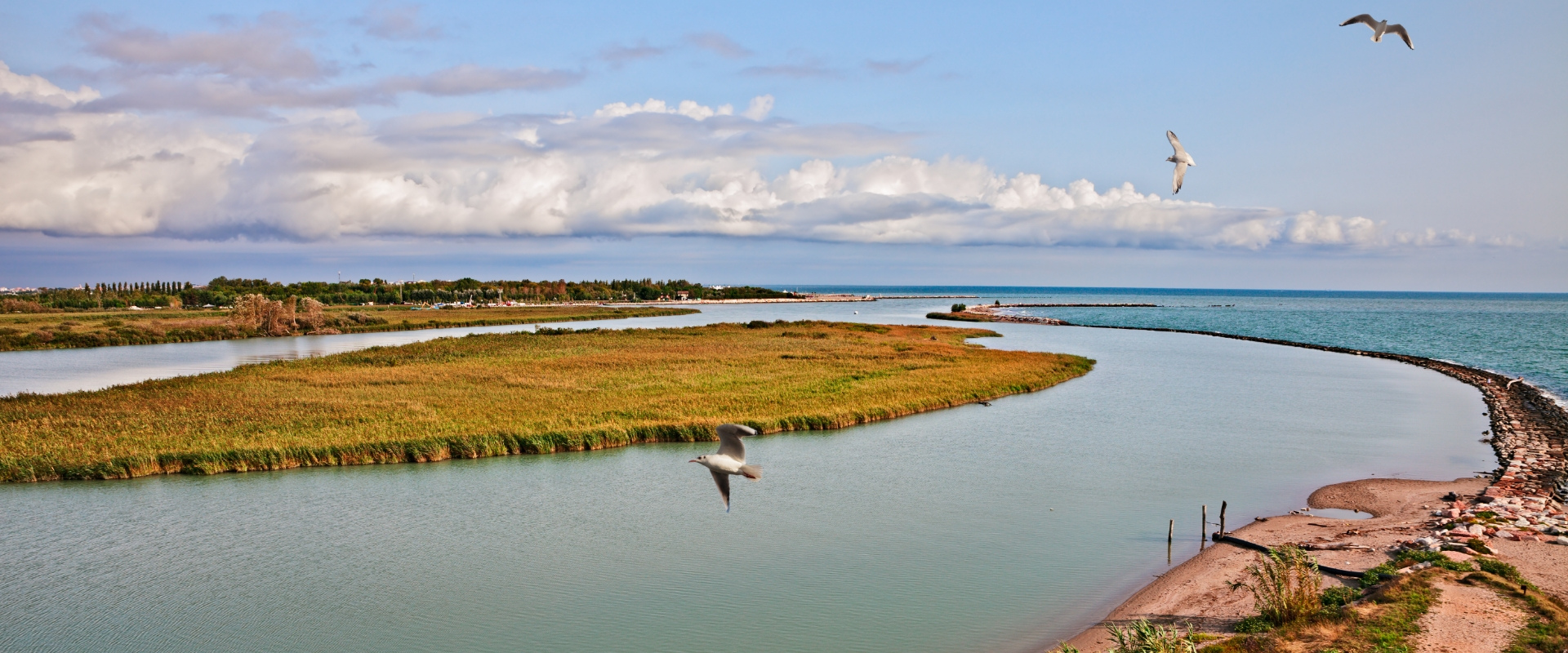 Paesaggio costiero con fiume, gabbiani in volo e cielo nuvoloso.