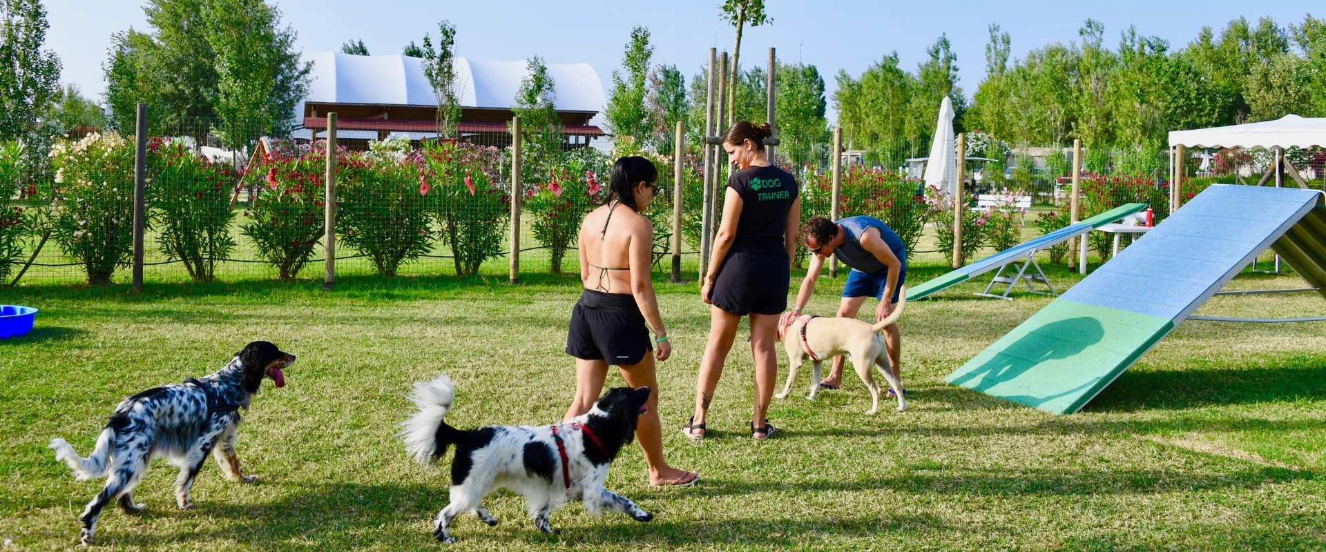 Persone e cani in un parco, addestramento e divertimento all'aperto.