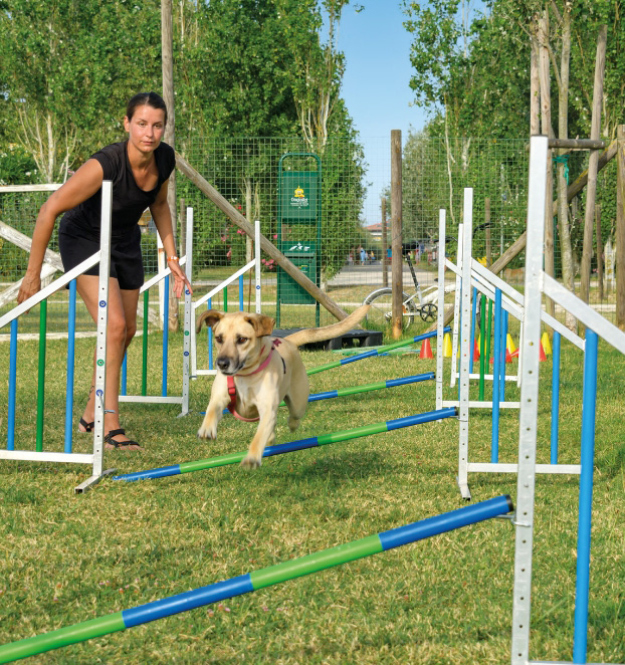 Famiglia con cani passeggia sulla spiaggia, giornata soleggiata e mare calmo.