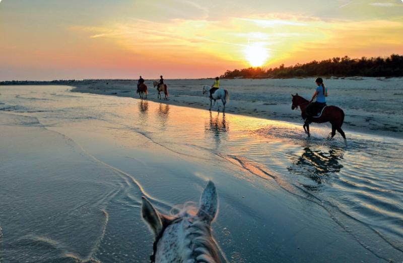 Cavalieri attraversano la spiaggia al tramonto, riflessi nell'acqua calma.