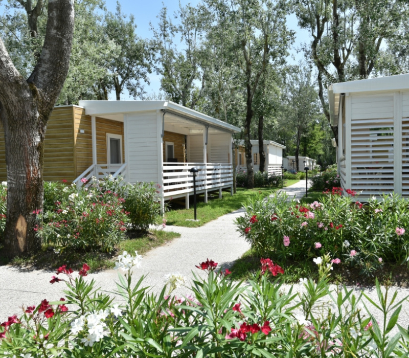 Bungalow immersi nel verde con vialetti fioriti e alberi ombreggianti.