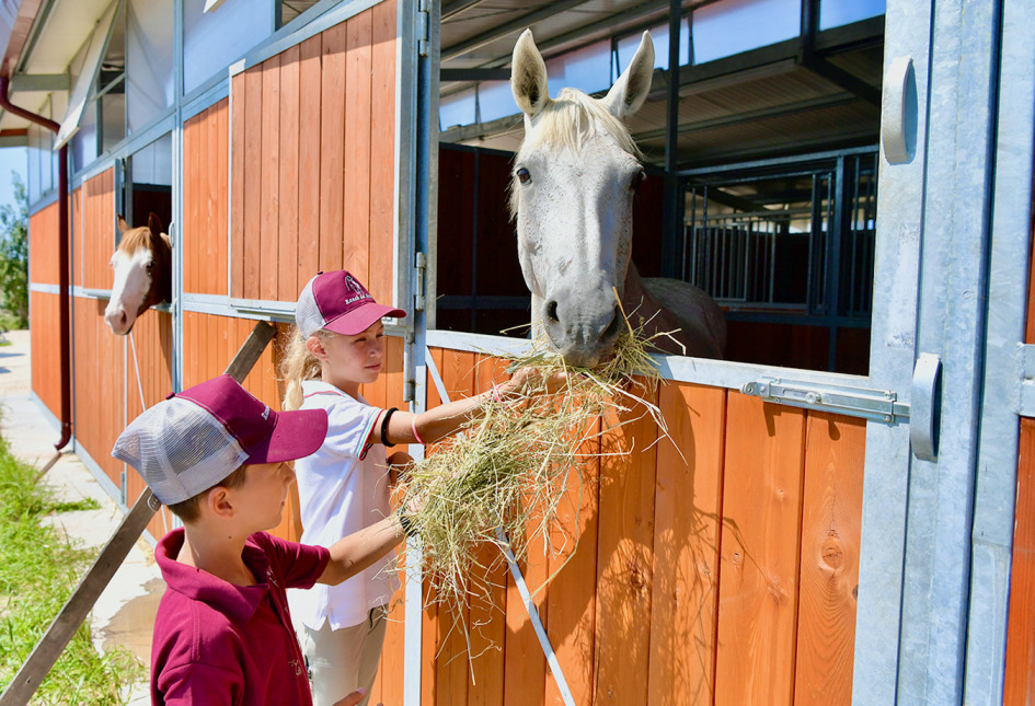 Bambini nutrono un cavallo in una stalla, indossando cappellini coordinati.